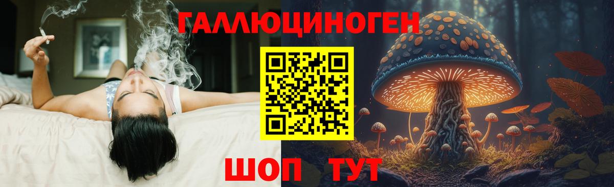 Псилоцибиновые грибы мицелий Обнинск