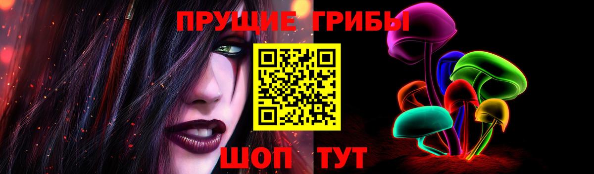 Галлюциногенные грибы Psilocybe  Псилоцибиновые грибы MAGIC MUSHROOMS  Вход с VPN  Обнинск 